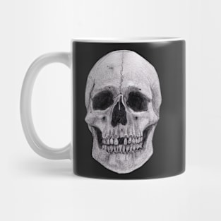 Skull Sketch - Anatomy Drawing - Skeleton Mug